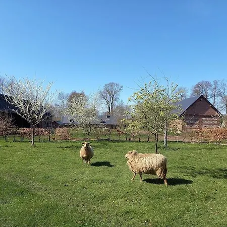 度假居 La Maison Silleron Angiens