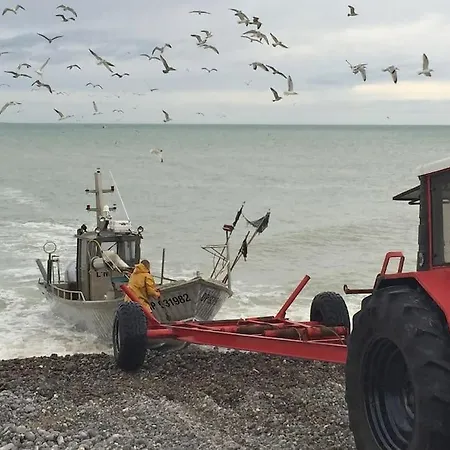 La Maison Silleron * Angiens