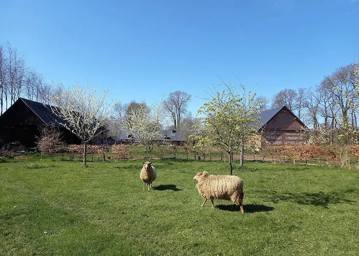Σπίτι διακοπών La Maison Silleron Angiens