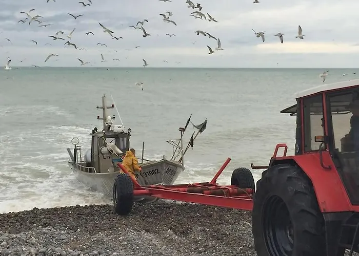 La Maison Silleron * Angiens